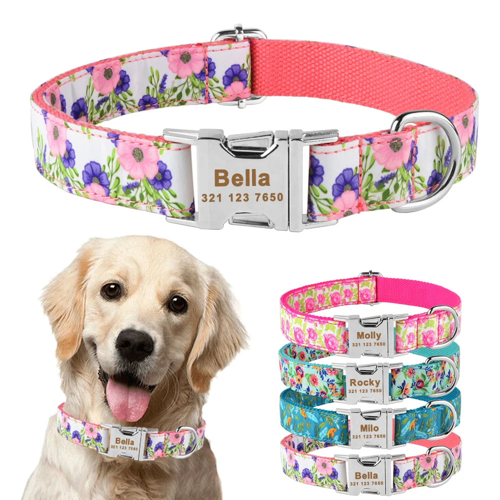 Personalised Dog Collar