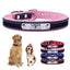 Personalised Dog Collar