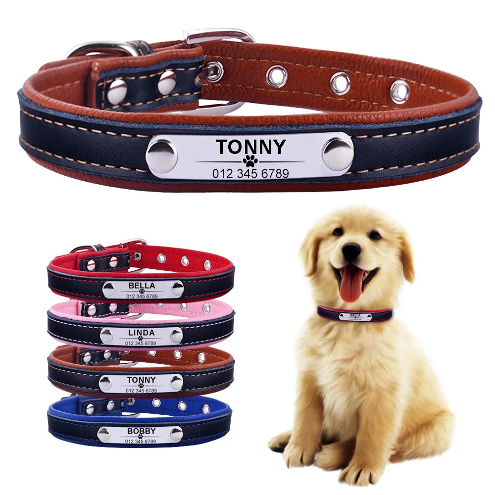 Personalised Dog Collar