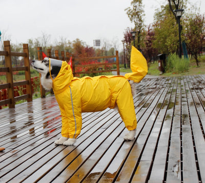 Paws Protector™: Ultimate Raincoat for Large Breeds