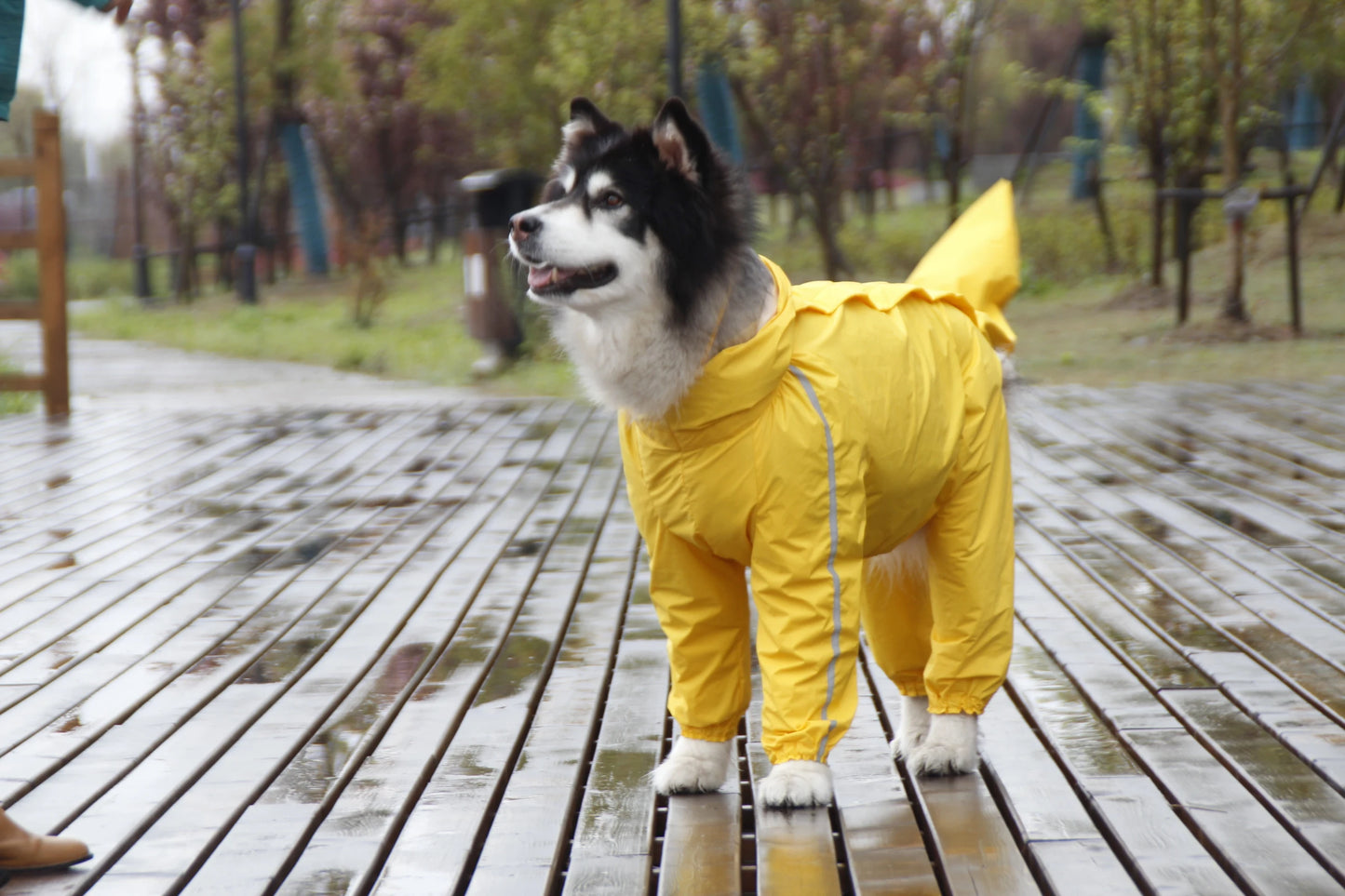 Paws Protector™: Ultimate Raincoat for Large Breeds