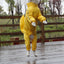 Paws Protector™: Ultimate Raincoat for Large Breeds