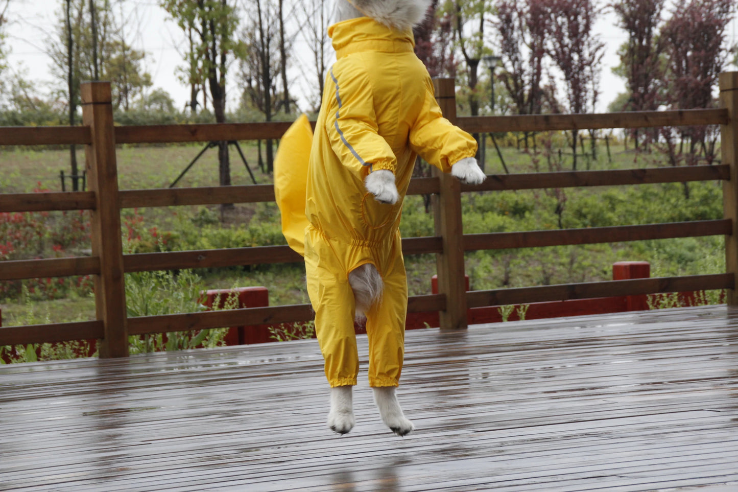 Paws Protector™: Ultimate Raincoat for Large Breeds