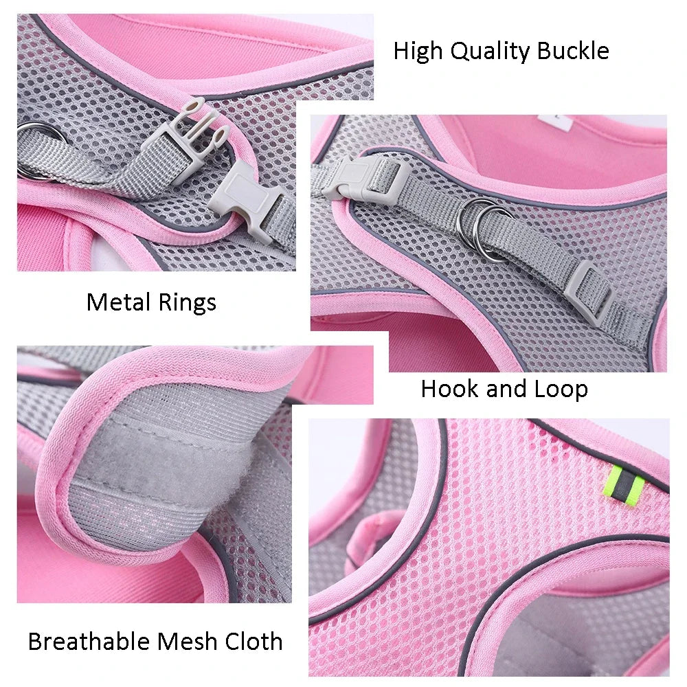 freedom fit harness