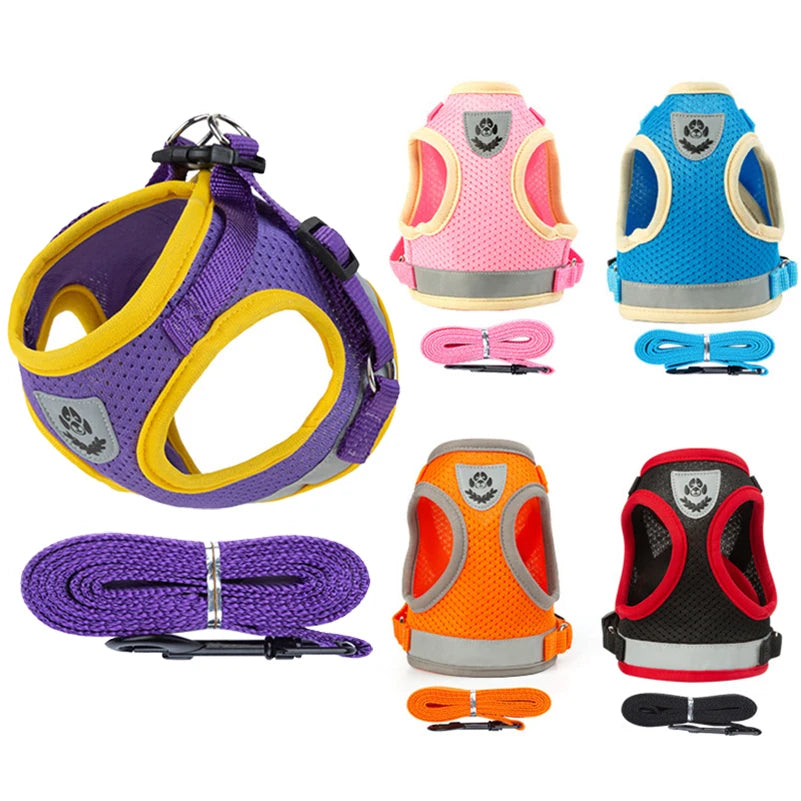 Glow Rover™ Harness