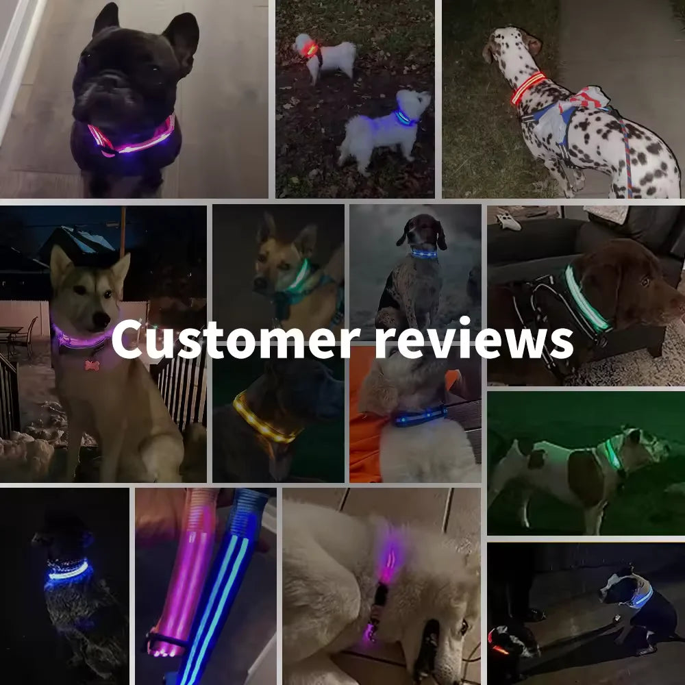 . GlowPet Collar™