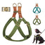 Personalized Dog Harness