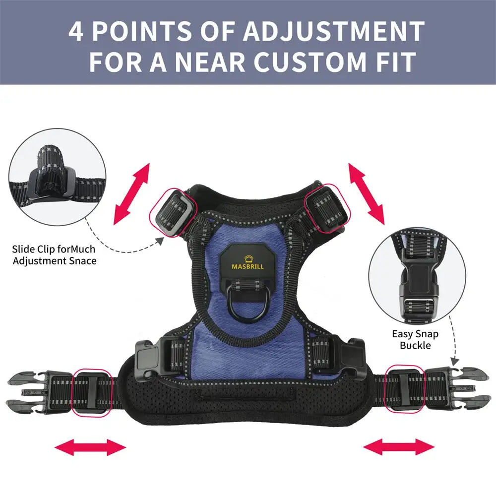 SafeStride Harness™