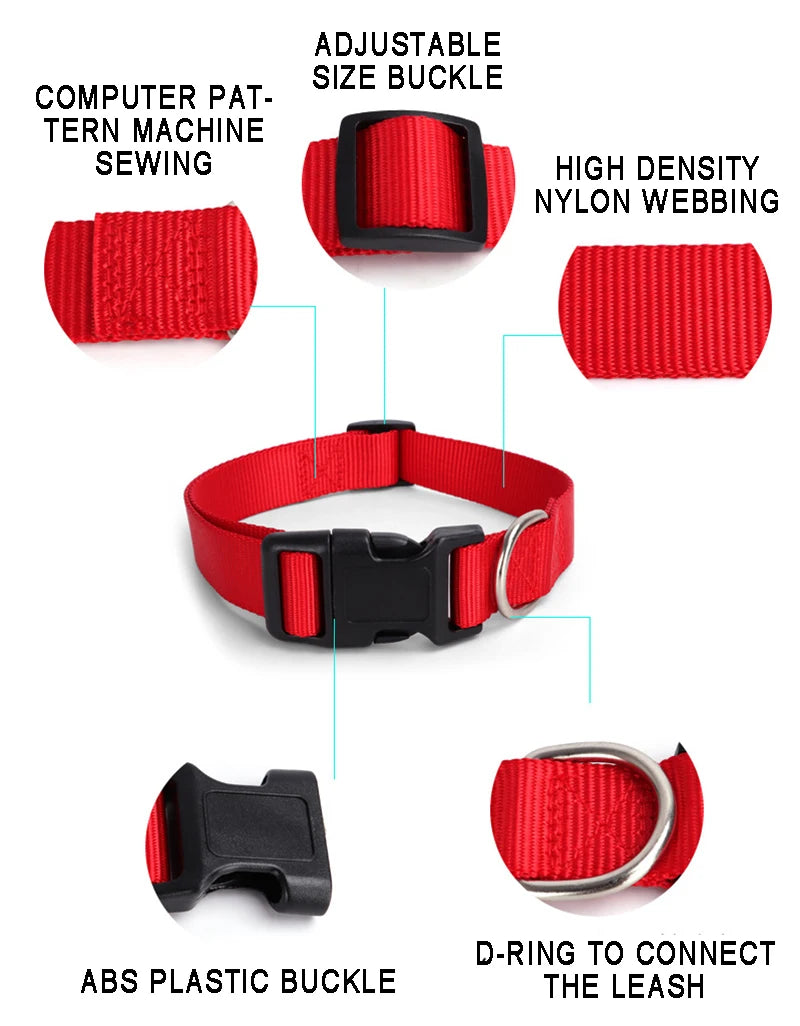 PupStyle Collars