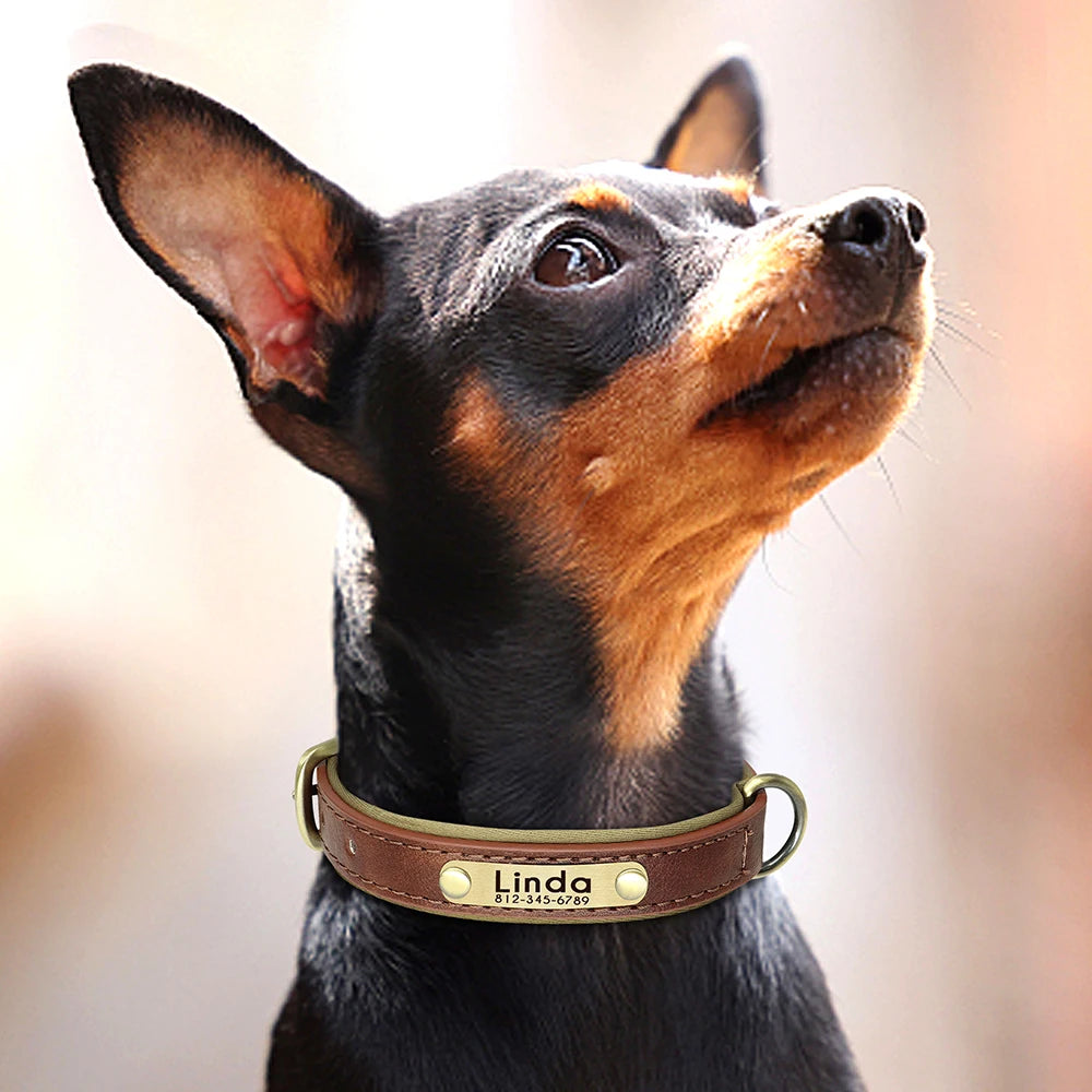 Customized Leather Dog Collar