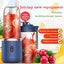 Portable Fruit Juice Blenders