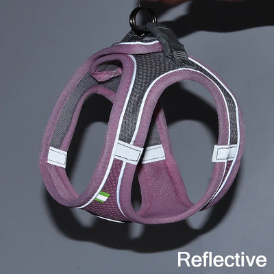 freedom fit harness