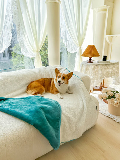 . CozyShield™ Reversible Dog Blankets