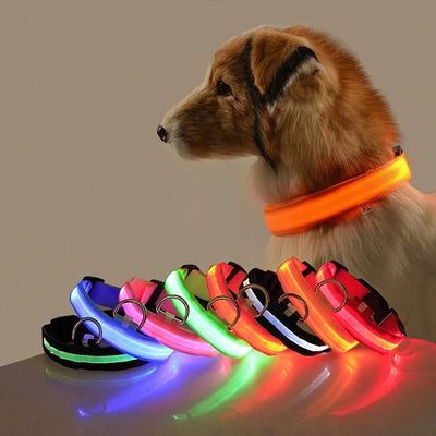 "GlowGuard™ Leash