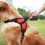 Reflective™ Pup Harness