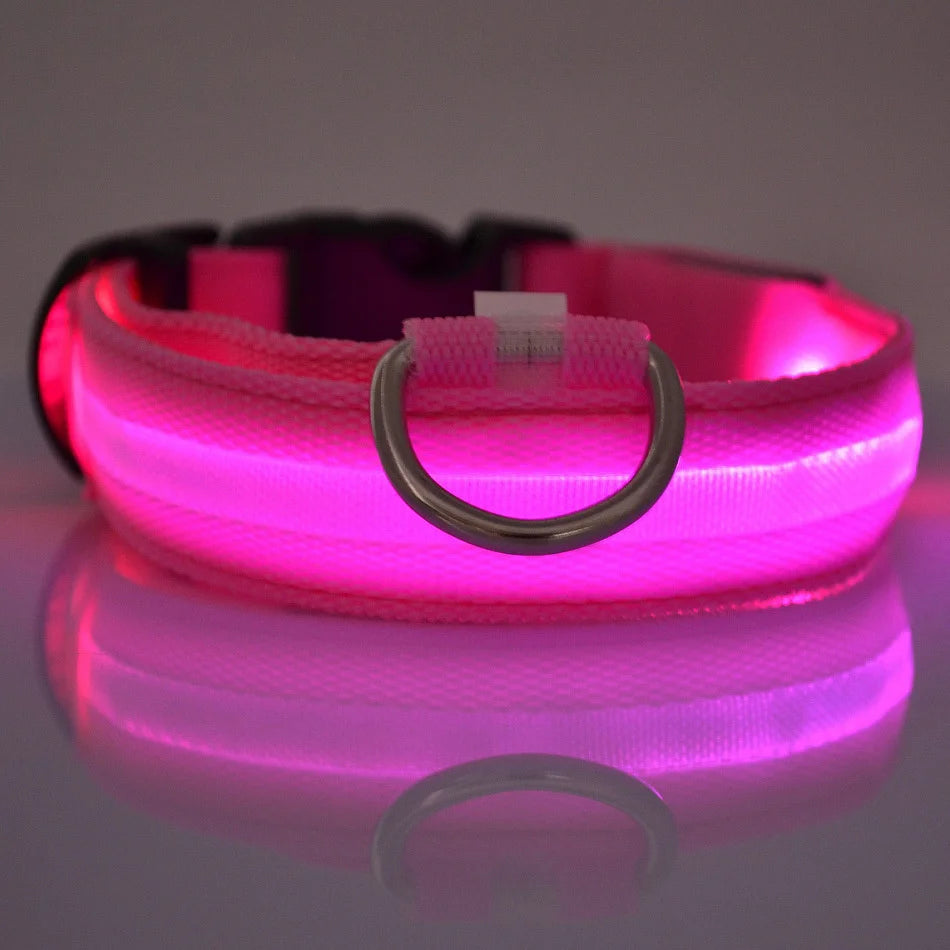 "GlowGuard™ Leash