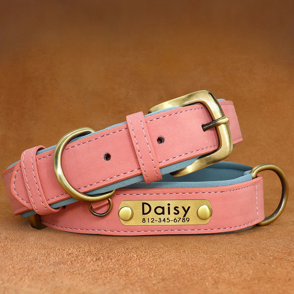 Customized Leather Dog Collar