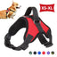 Reflective™ Pup Harness