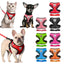 FlexiFit™ Dog Harness