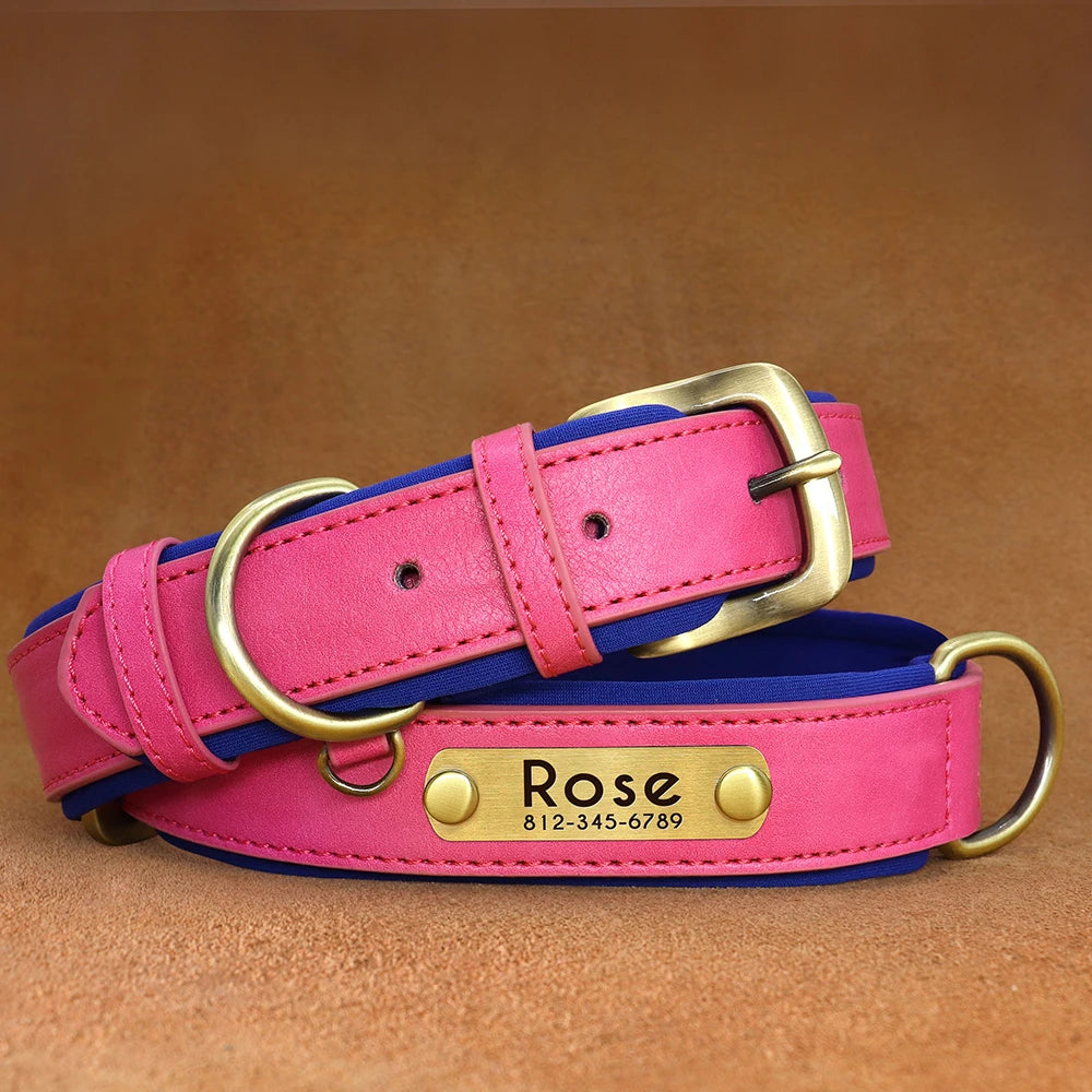 Customized Leather Dog Collar