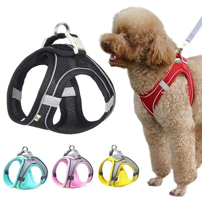 freedom fit harness