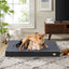 Ingopaw™dog bed Canine Lounger