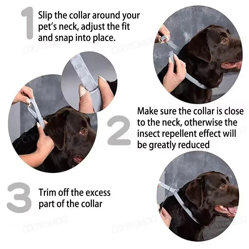 PestShield™ Pet Collar