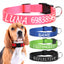 PupStyle Collars