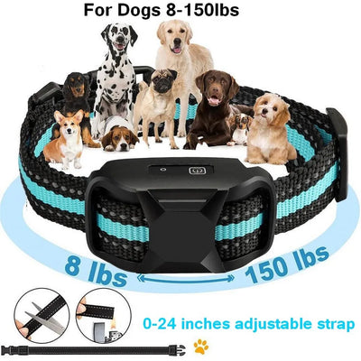 Paw-Fect™ Trainer 3300