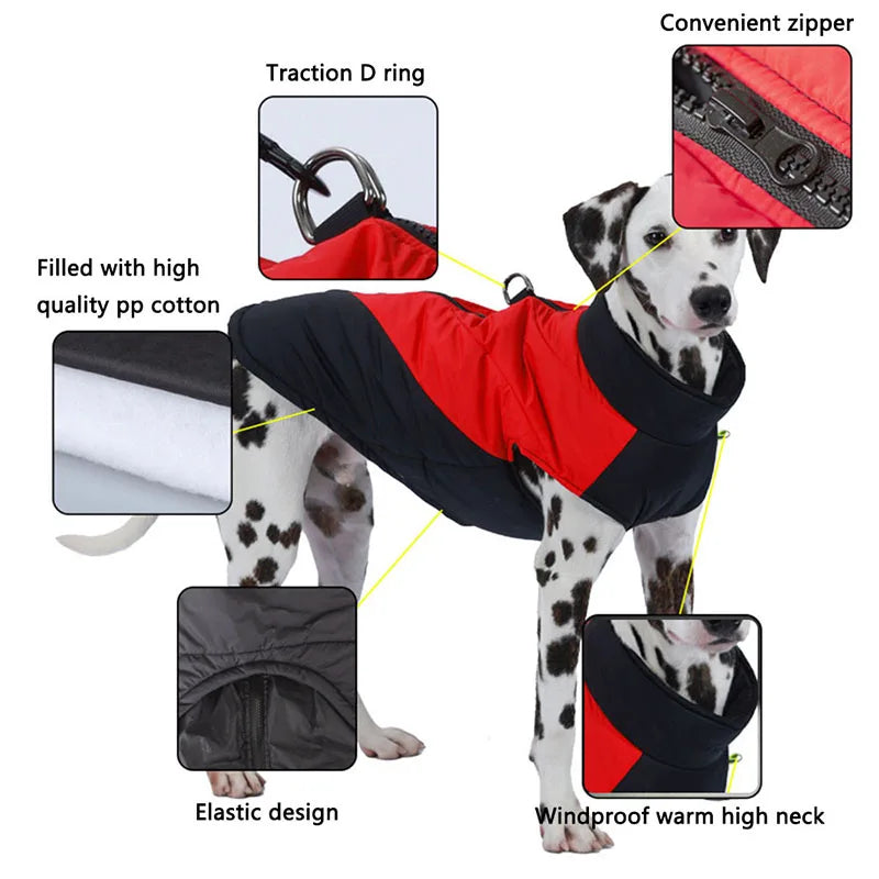 Pawfect™ Protection