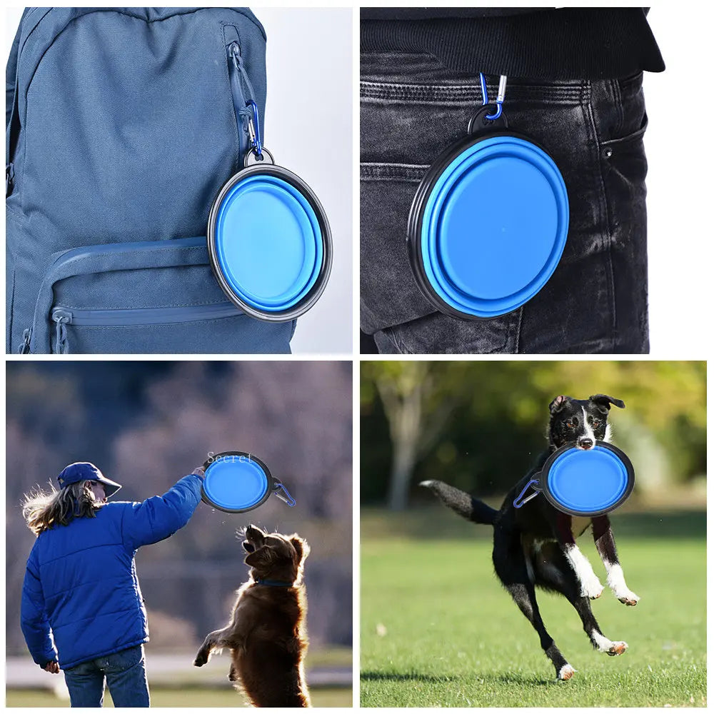 Paws on the Go™ Bowl