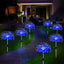 Solar Sparkle Lights