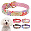 Personalised Dog Collar