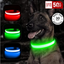 . GlowPet Collar™