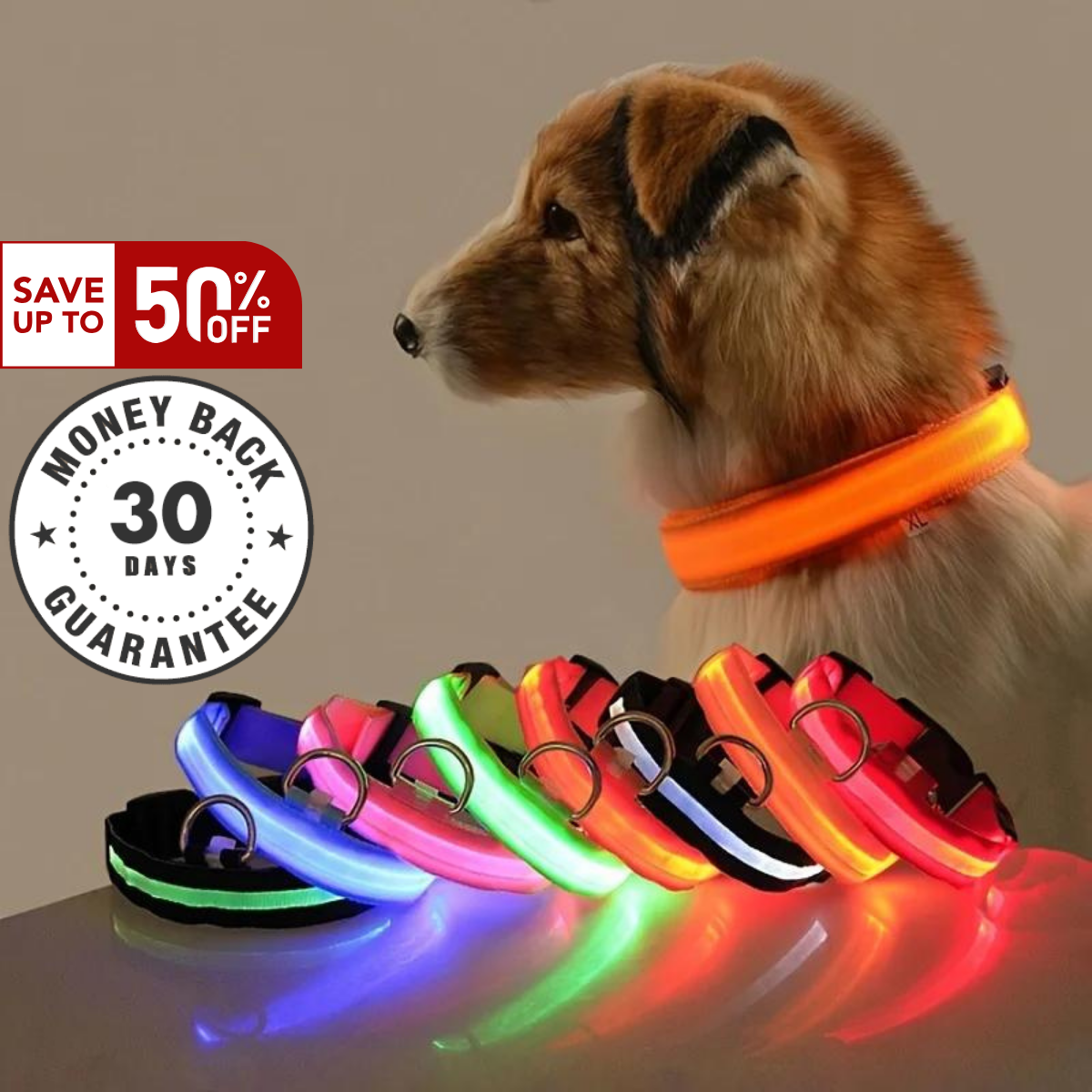 "GlowGuard™ Leash