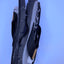 men sandals